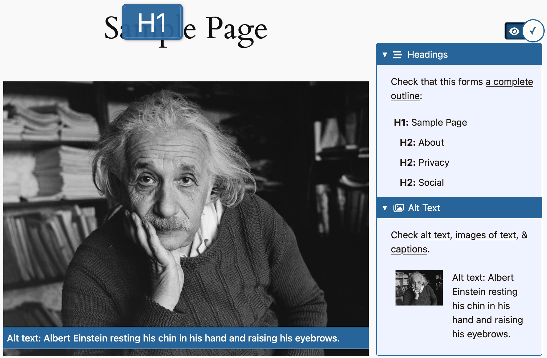 Open heading and alt text panels, showing the document outline and alt text for each image.